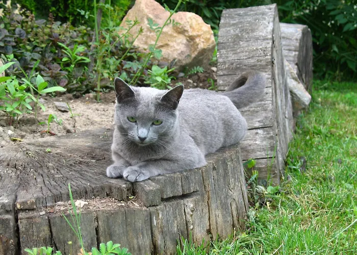 B&B Nad RudawąPensjonat